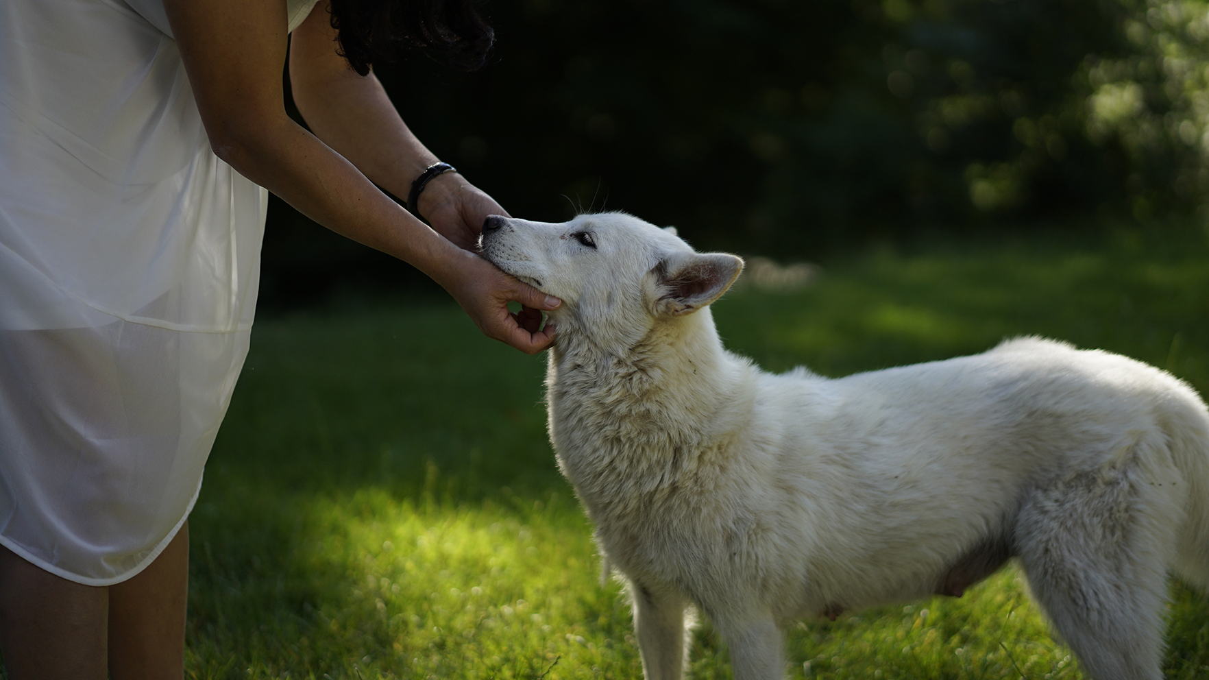 Hundepension Bielefeld